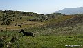 IMG_2770