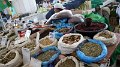 DSC04796