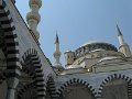 IMG_2528