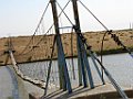 IMG_2615