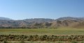 IMG_2706