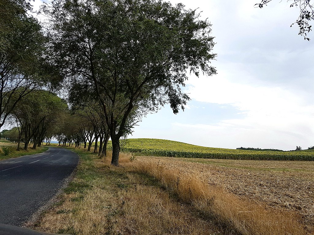 20170811_182201.jpg - Verso Komarom e Komarno (Slovacchia)