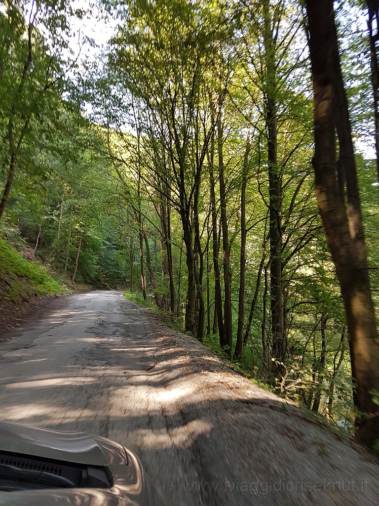 20170814_103357.jpg - Stradina nei boschi tra Kosice e Poprad.