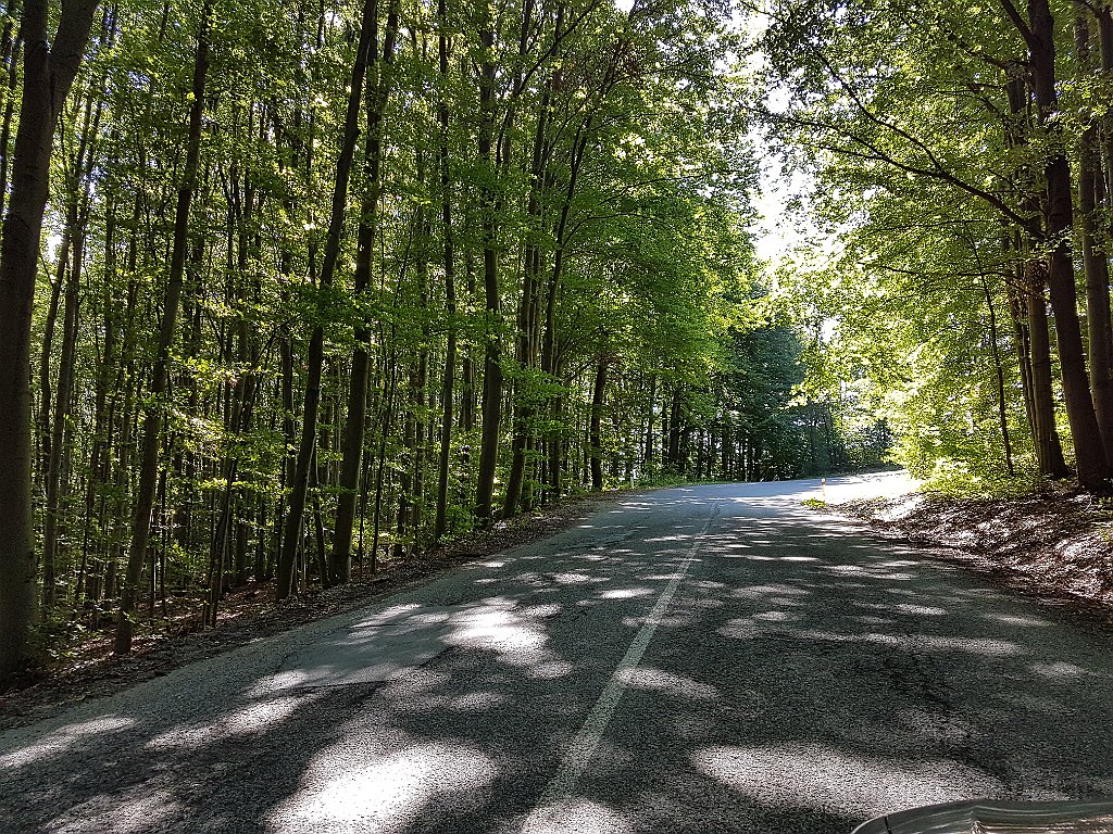 20170814_104247.jpg - Stradina nei boschi tra Kosice e Poprad.