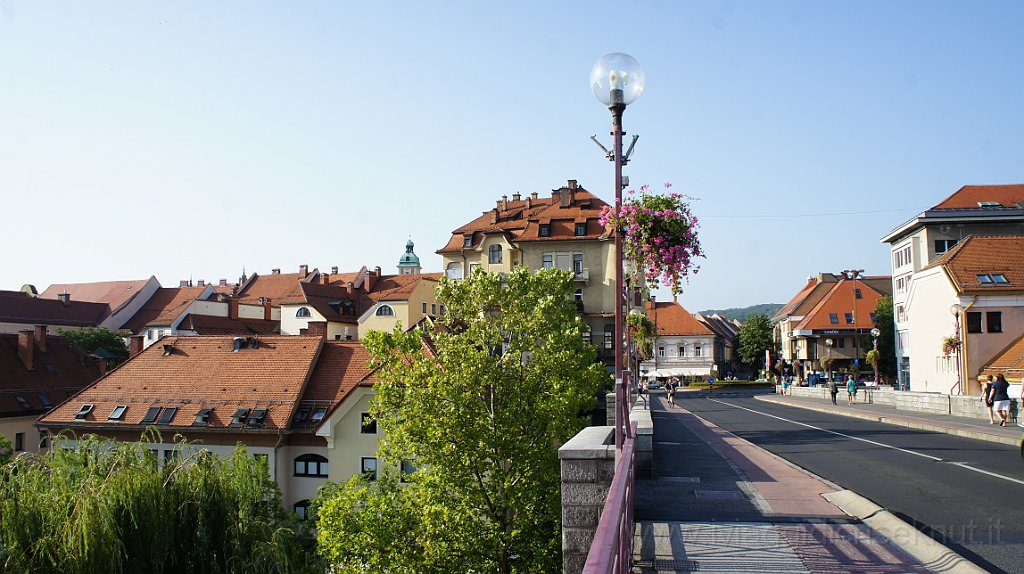 DSC04240.JPG - Ponte sul Drava.