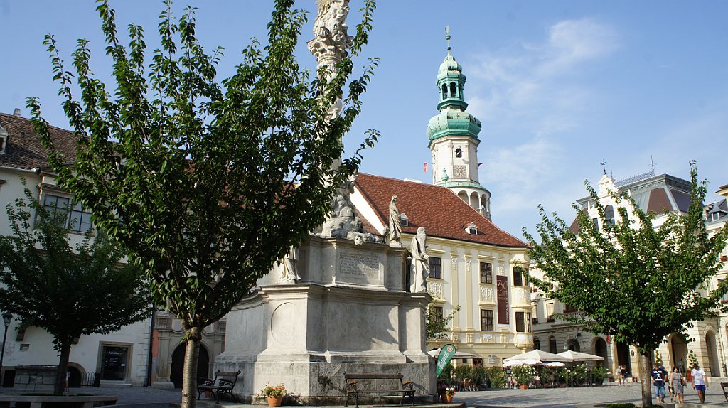 DSC04262.JPG - Sopron, Colonna Mariana.