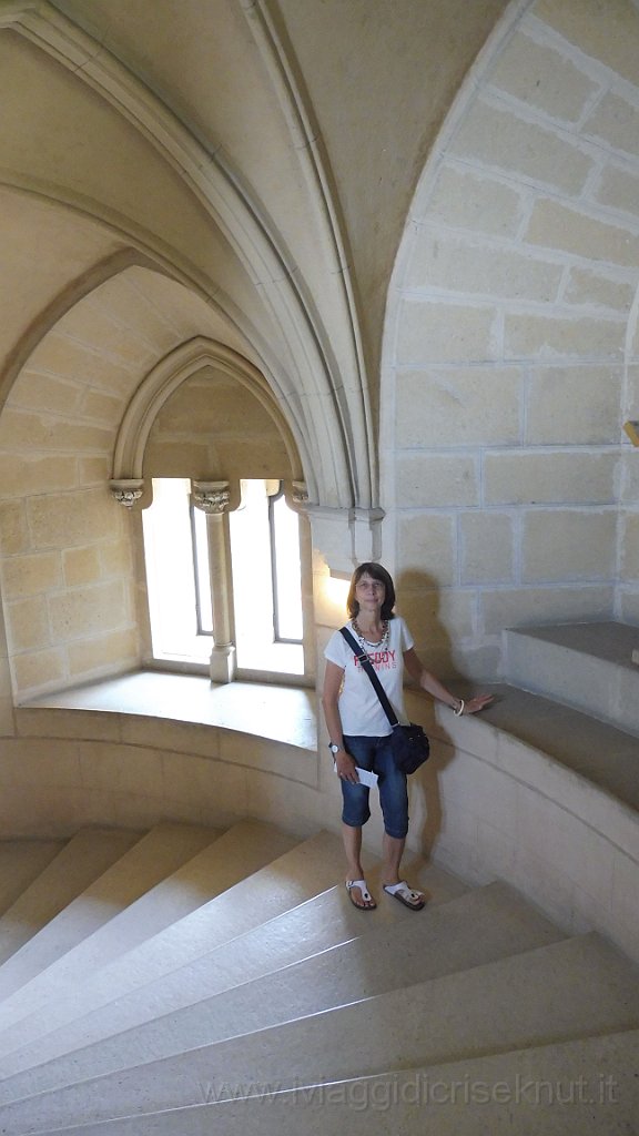 P1050220.JPG