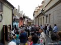 DSC01737