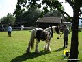 DSC01812