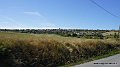 DSC02921