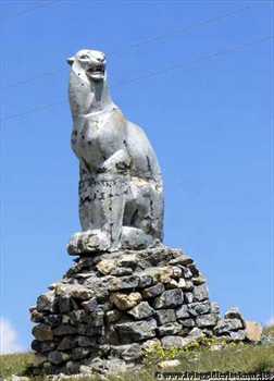 leopardo_delle_nevi