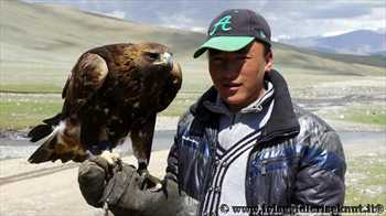 aquila