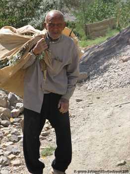 vecchietto